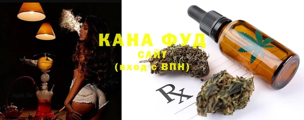 индика Балабаново
