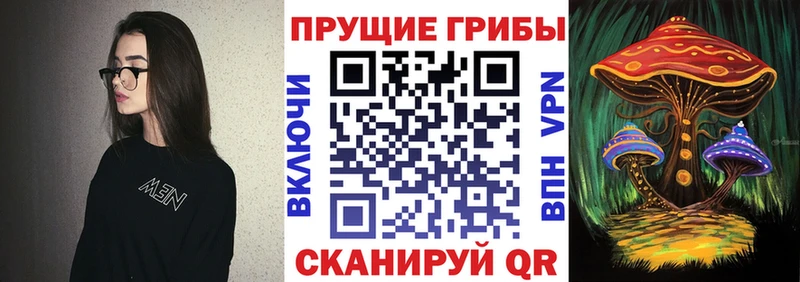 Галлюциногенные грибы ЛСД  Курганинск 